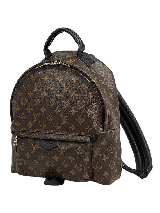 Louis Vuitton Palm Springs Backpack MM Monogram Brown main image 8